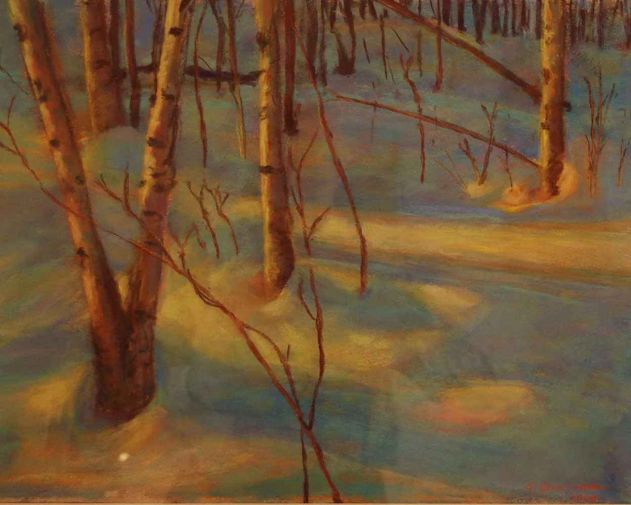 Birch Trees in Winter