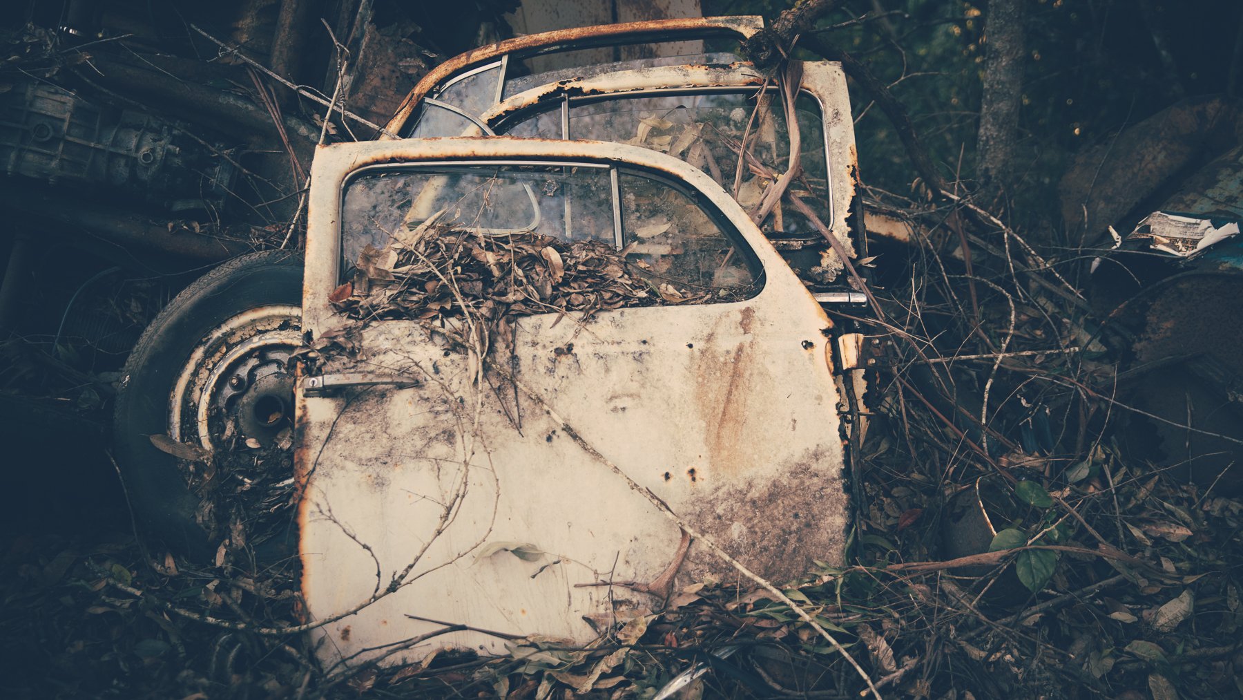 VW Grave Yard-5633.jpg