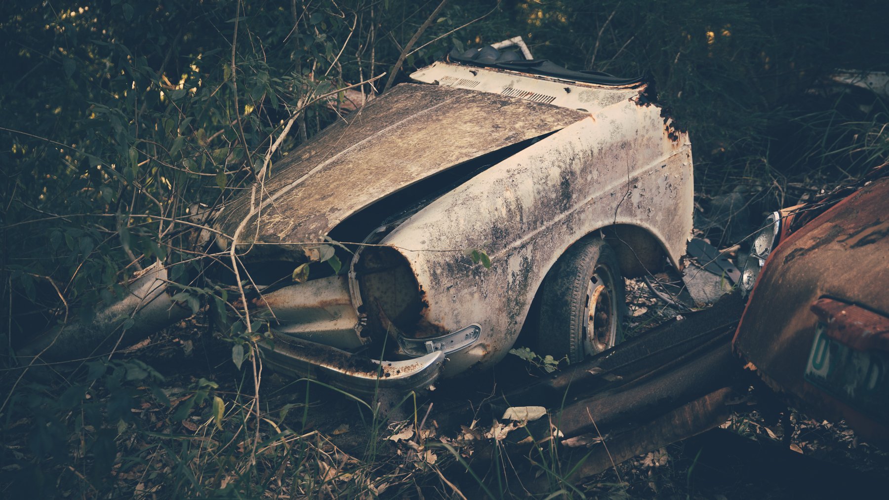 VW Grave Yard-5570.jpg