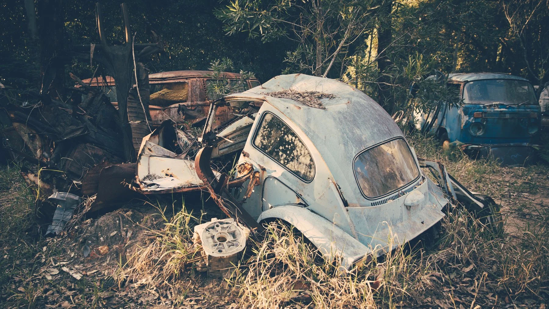 VW Grave Yard-5557.jpg