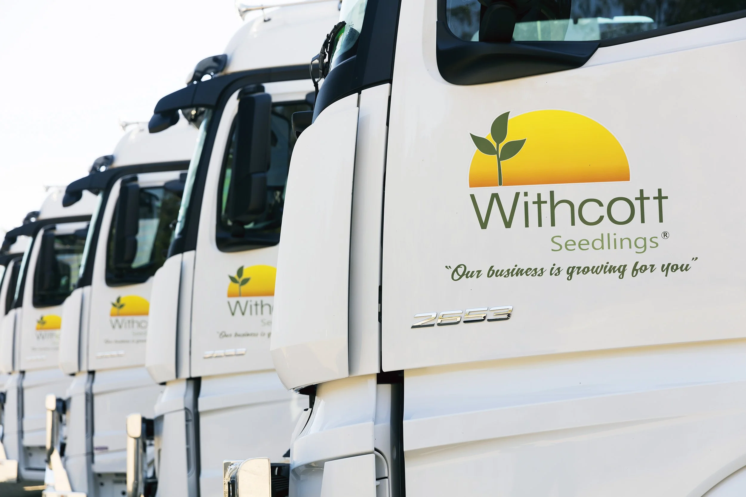 Withcott Seeds-8849.jpg