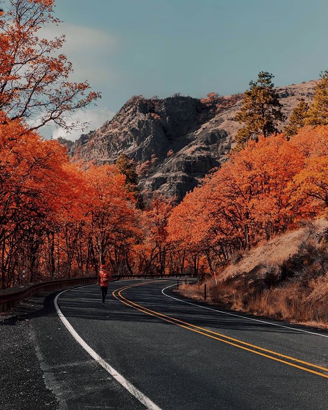 Oops who left this camera here while I casually jogged through this orange mountain-scape?
.
.
.
.
.
.
.
.
It me