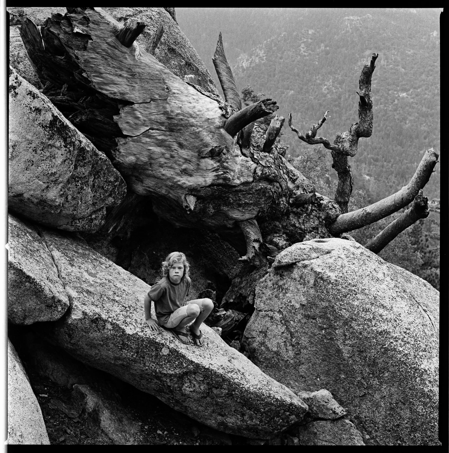 idylwild storm002 E3.jpg