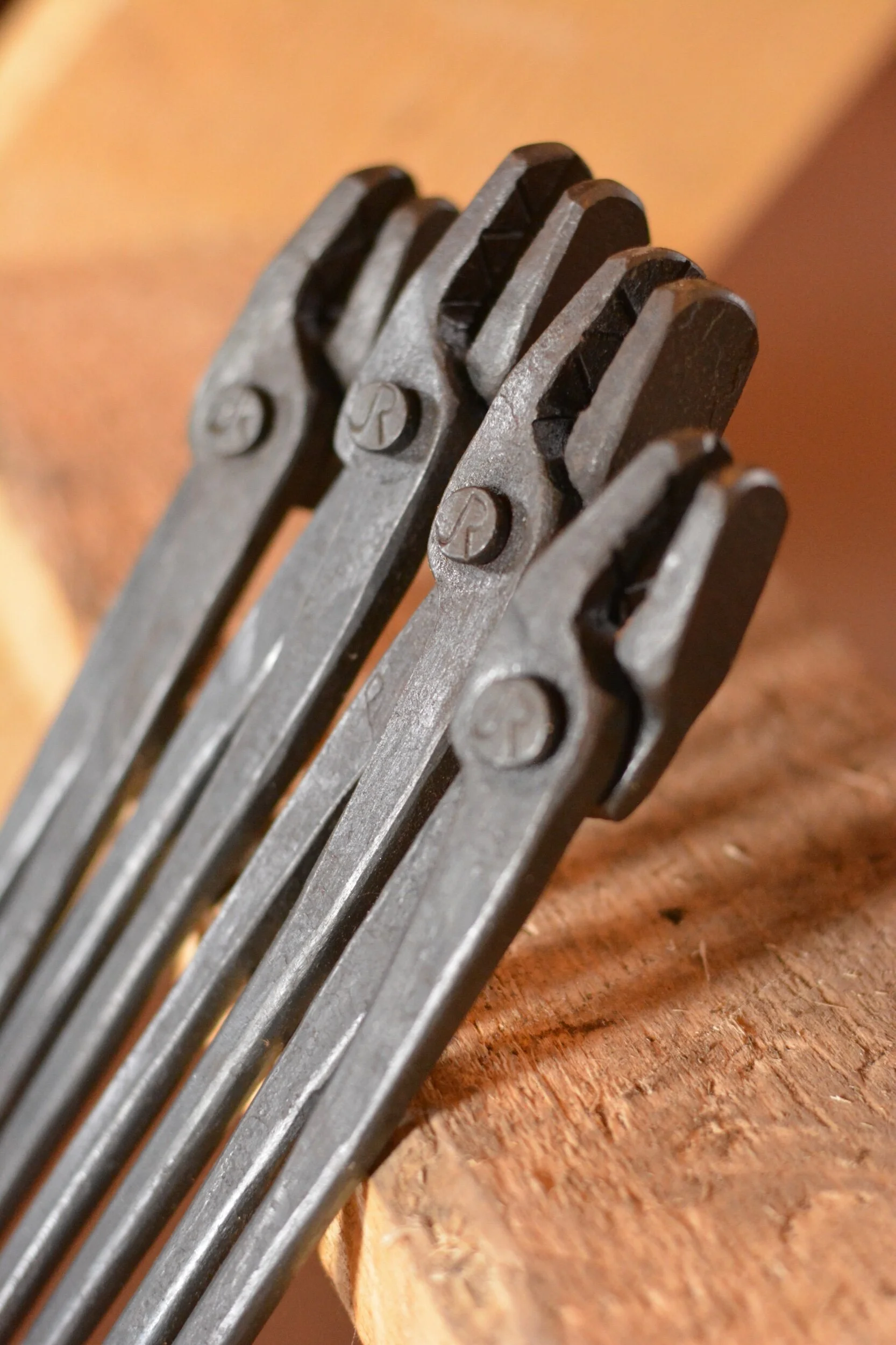 E81EE58D-6292-422F-9511-72260D1124CA