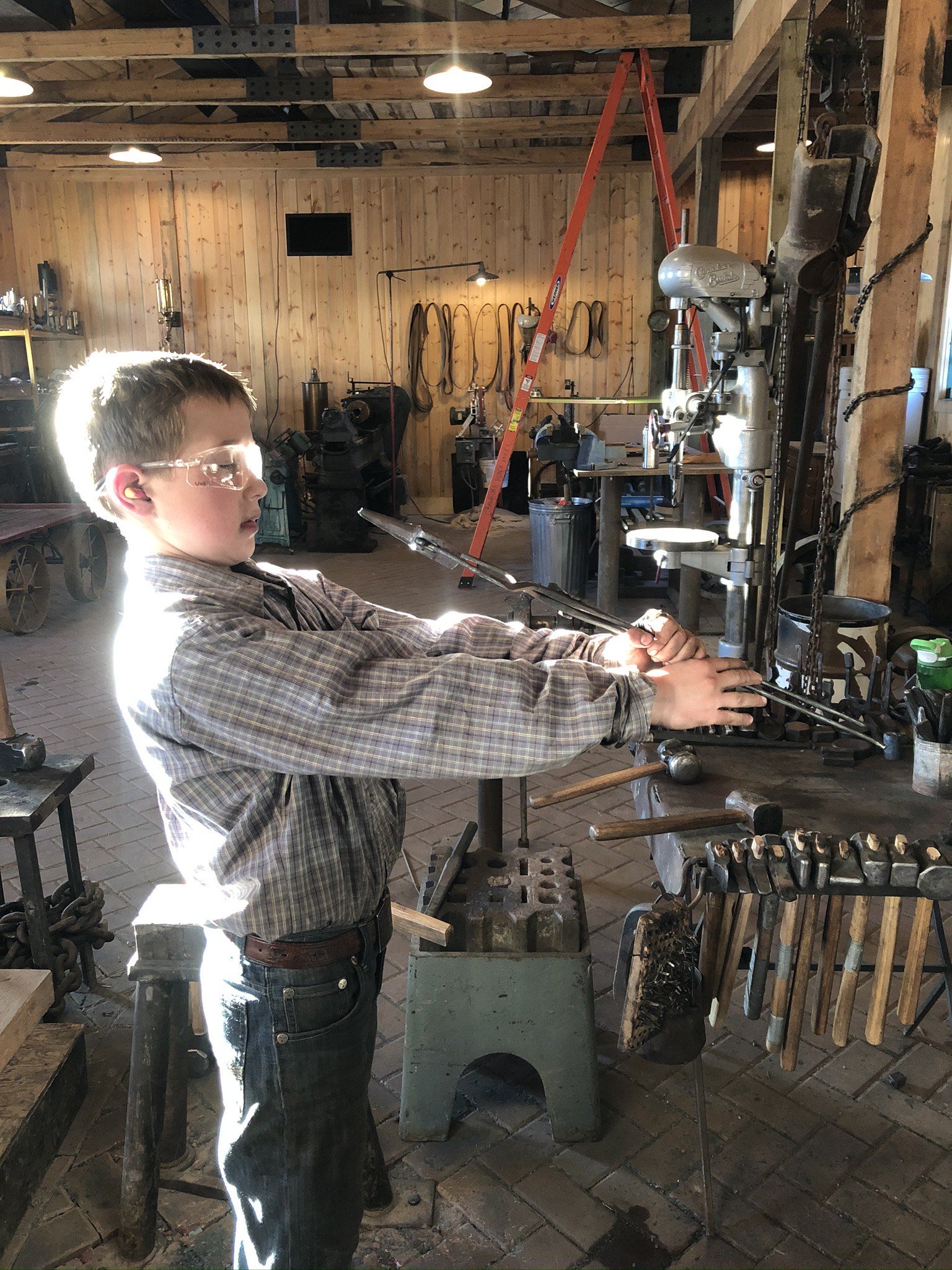 image_6487327 (1).JPG