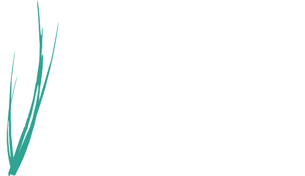 Pittsburgh Modular Synthesizers