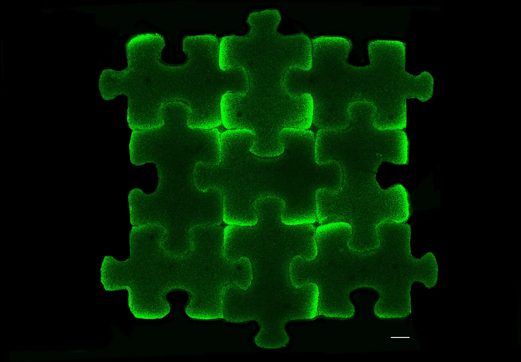 Puzzle Piece Assembly for Large Construct Fabrication