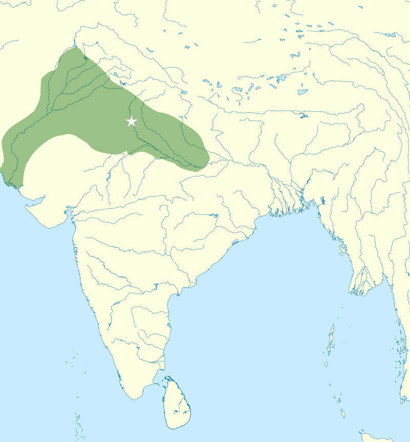 Delhi Sultanate ~1290