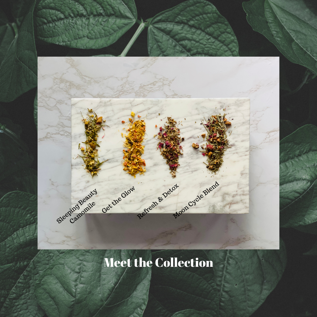 28E544C1-C43B-4D38-9278-3154E9E2E0CB