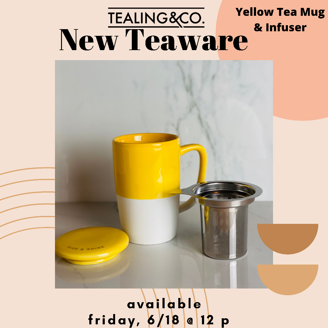 FE6B11A2-C403-49FE-82D1-4CBD2021FFEE