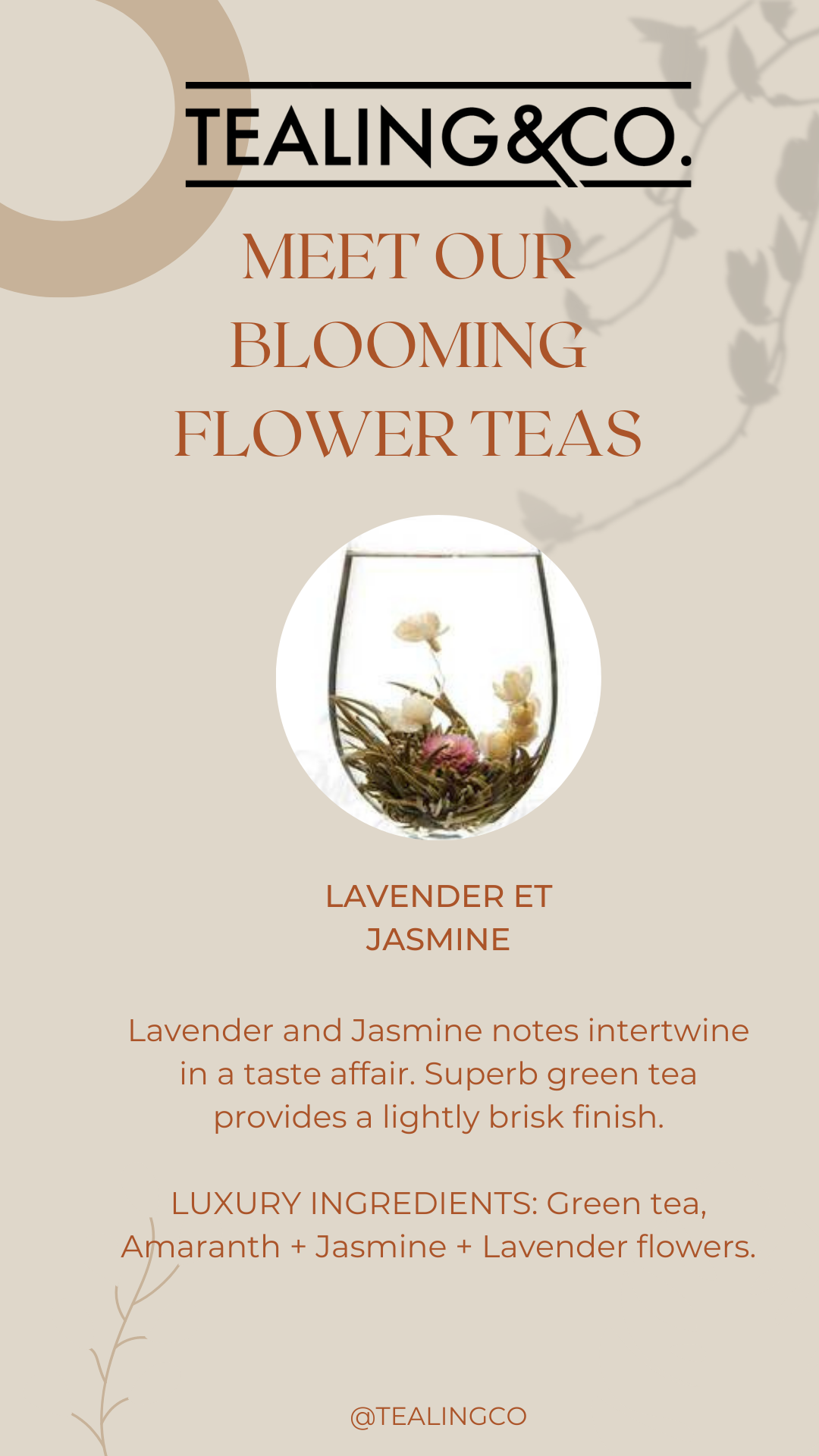 68E58A83-7C8D-46D3-8FF9-86A7628CE23B