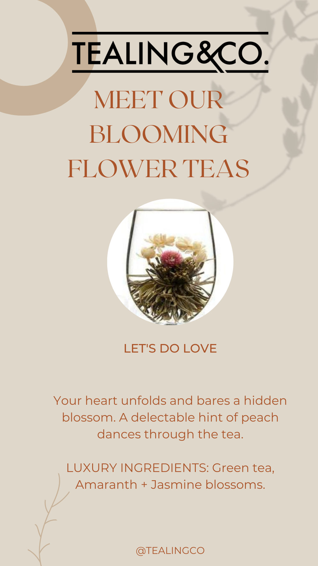 126D7C50-AB34-4326-BCE1-C14576DF85AD