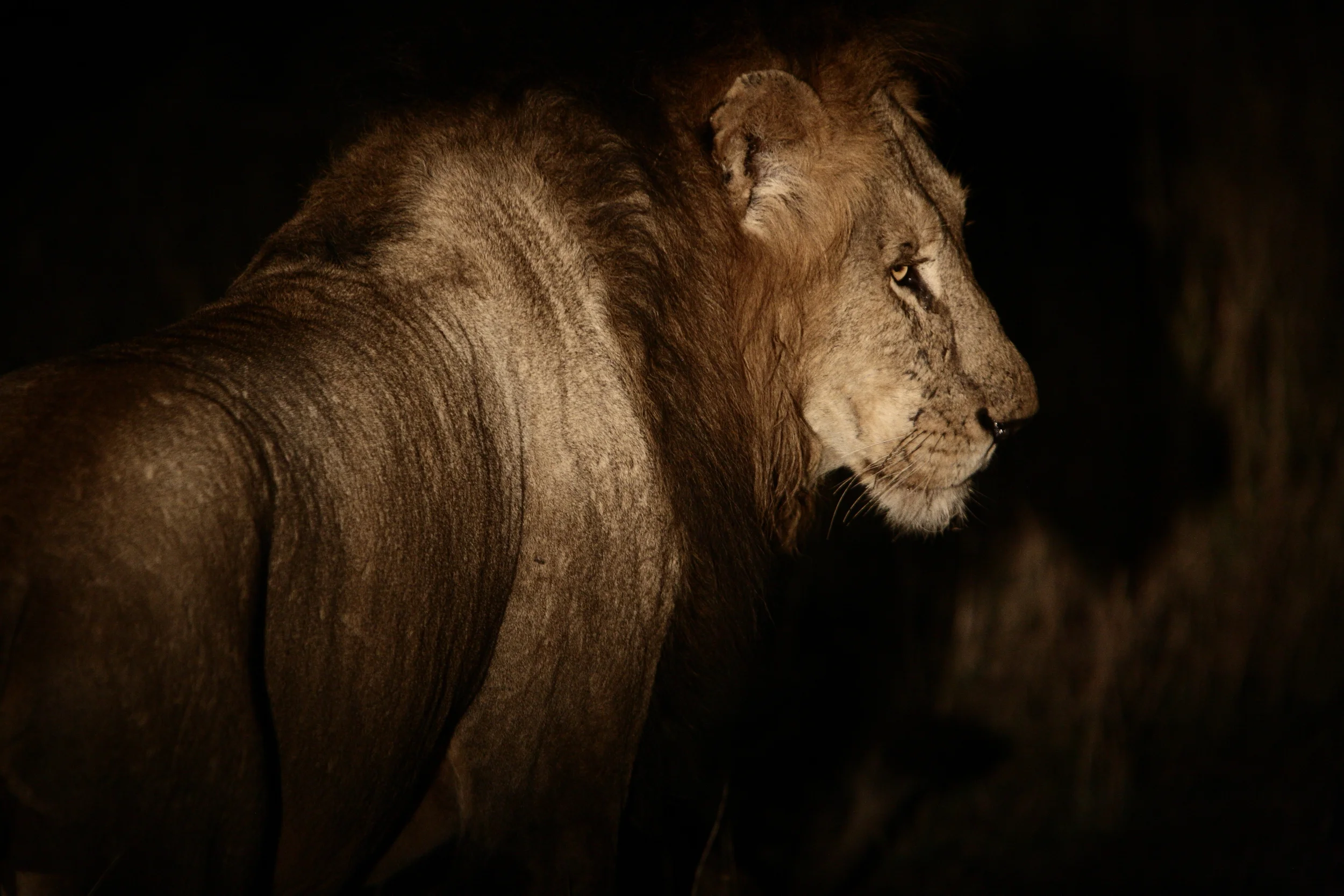 IMG_6889_JTGphotography_Africa12.JPG