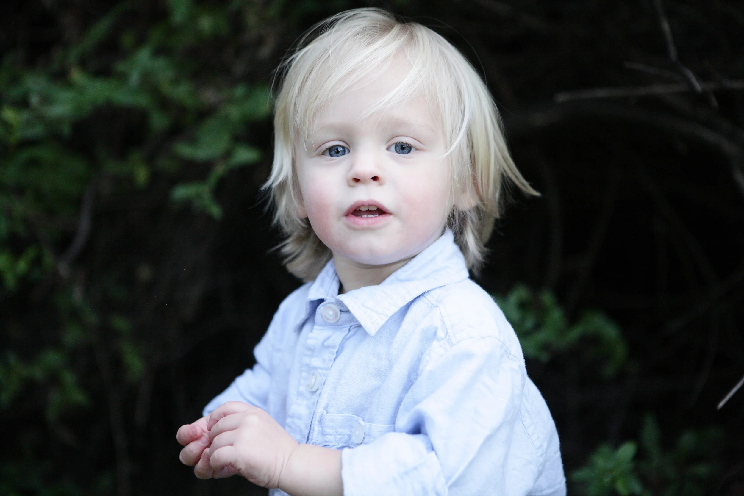 IMG_6958_JTGphotography_Bellamy_x.JPG