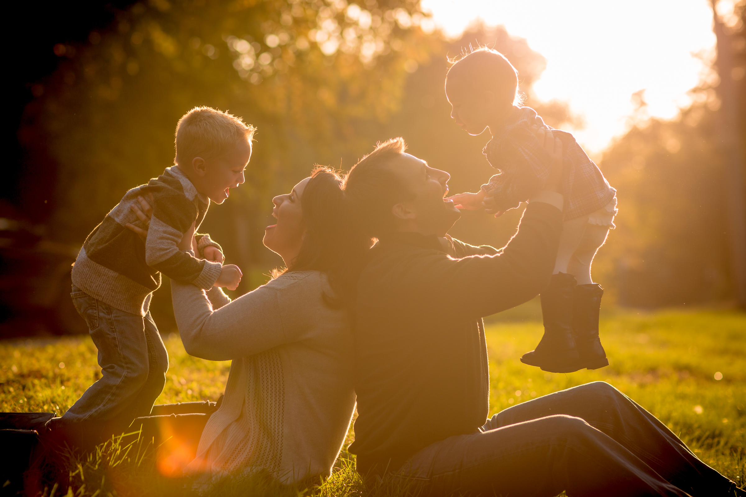 The Acres | Fall 2015