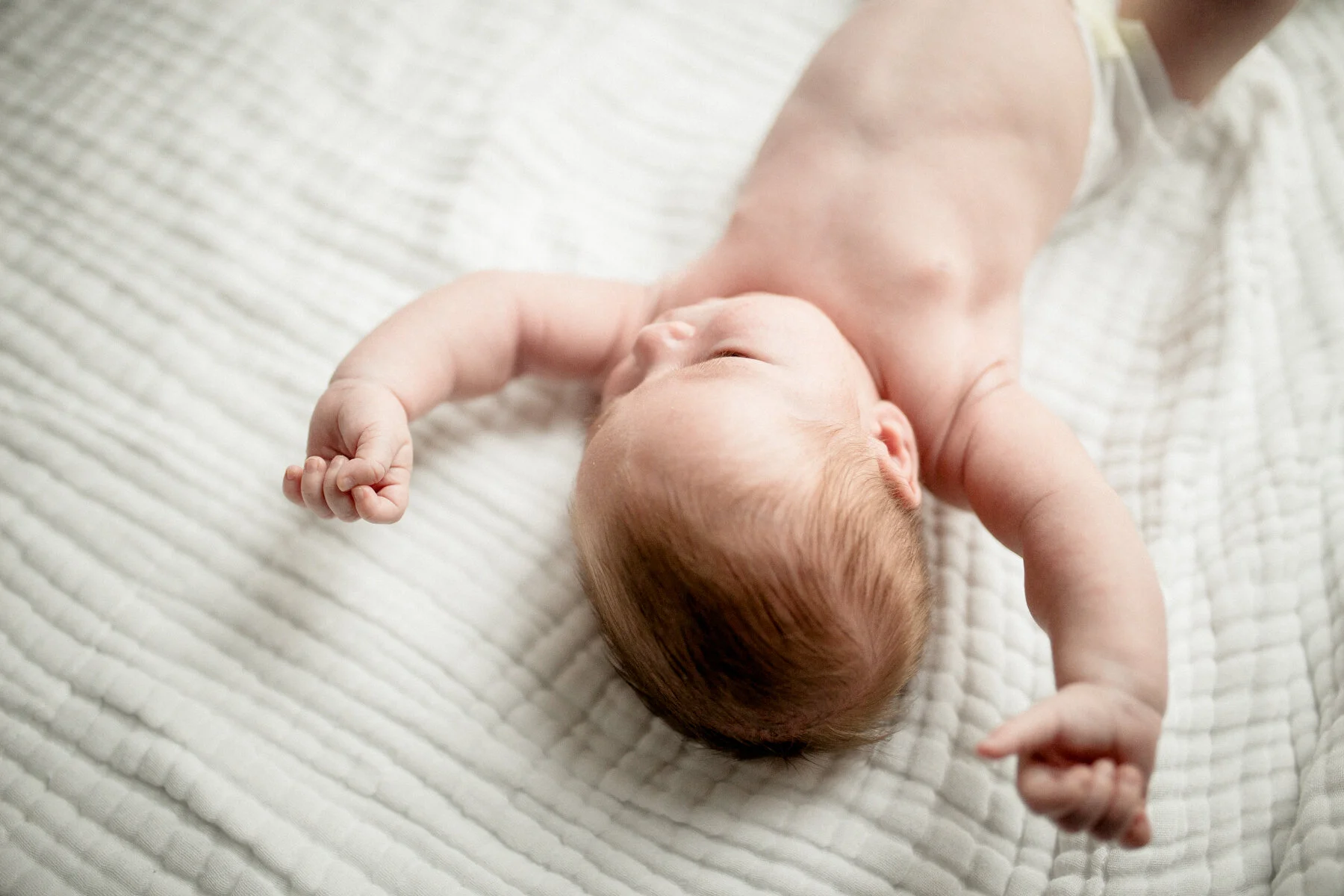 William | Lifestyle Newborn Photography