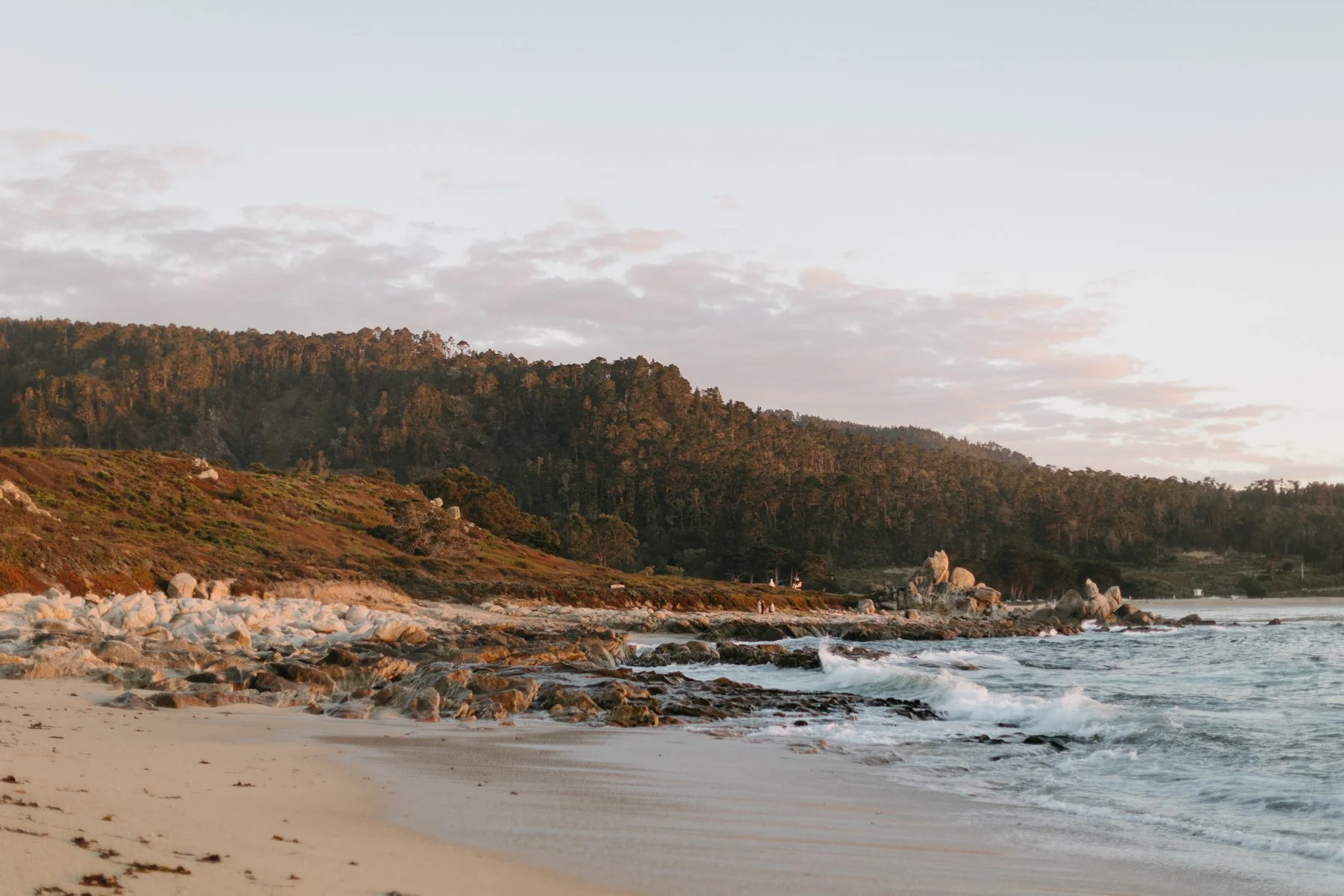 Brandon & Elena, Beach-1333.jpg