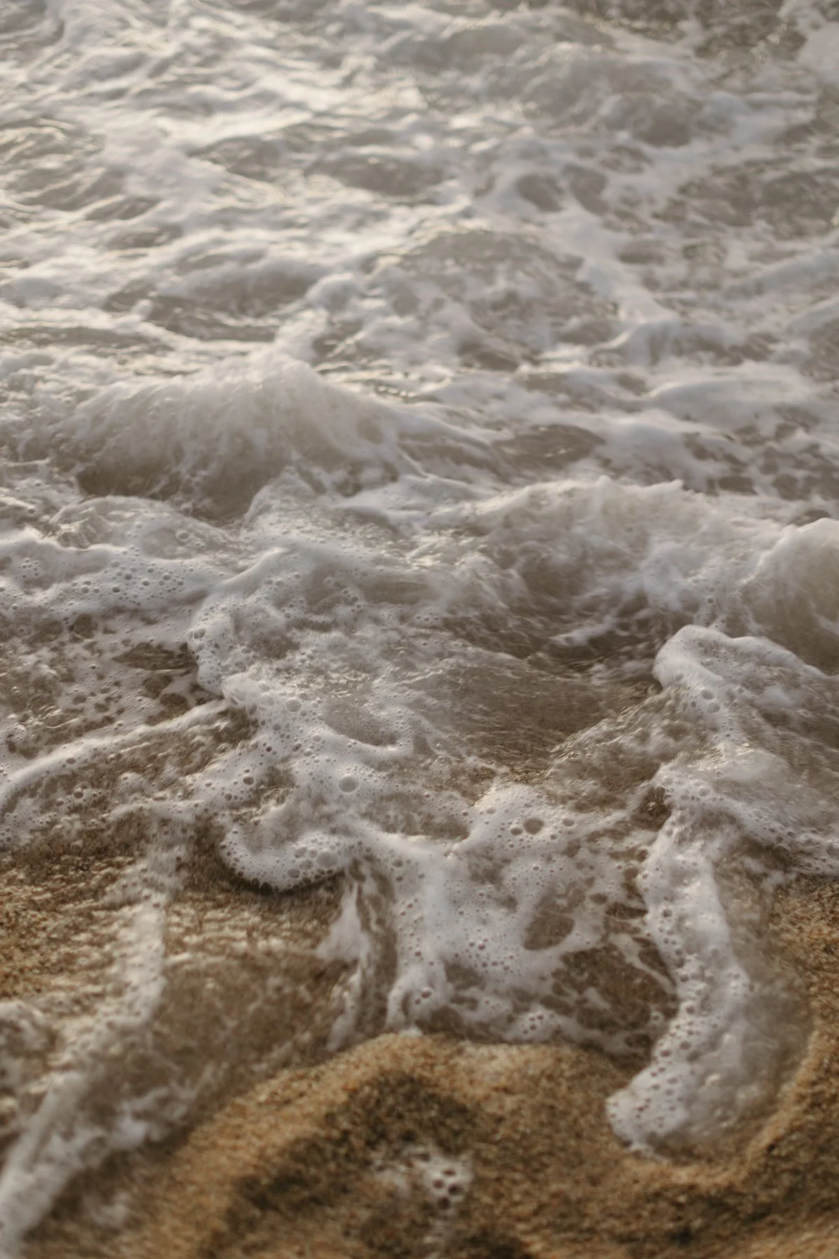 Brandon & Elena, Beach-1442.jpg