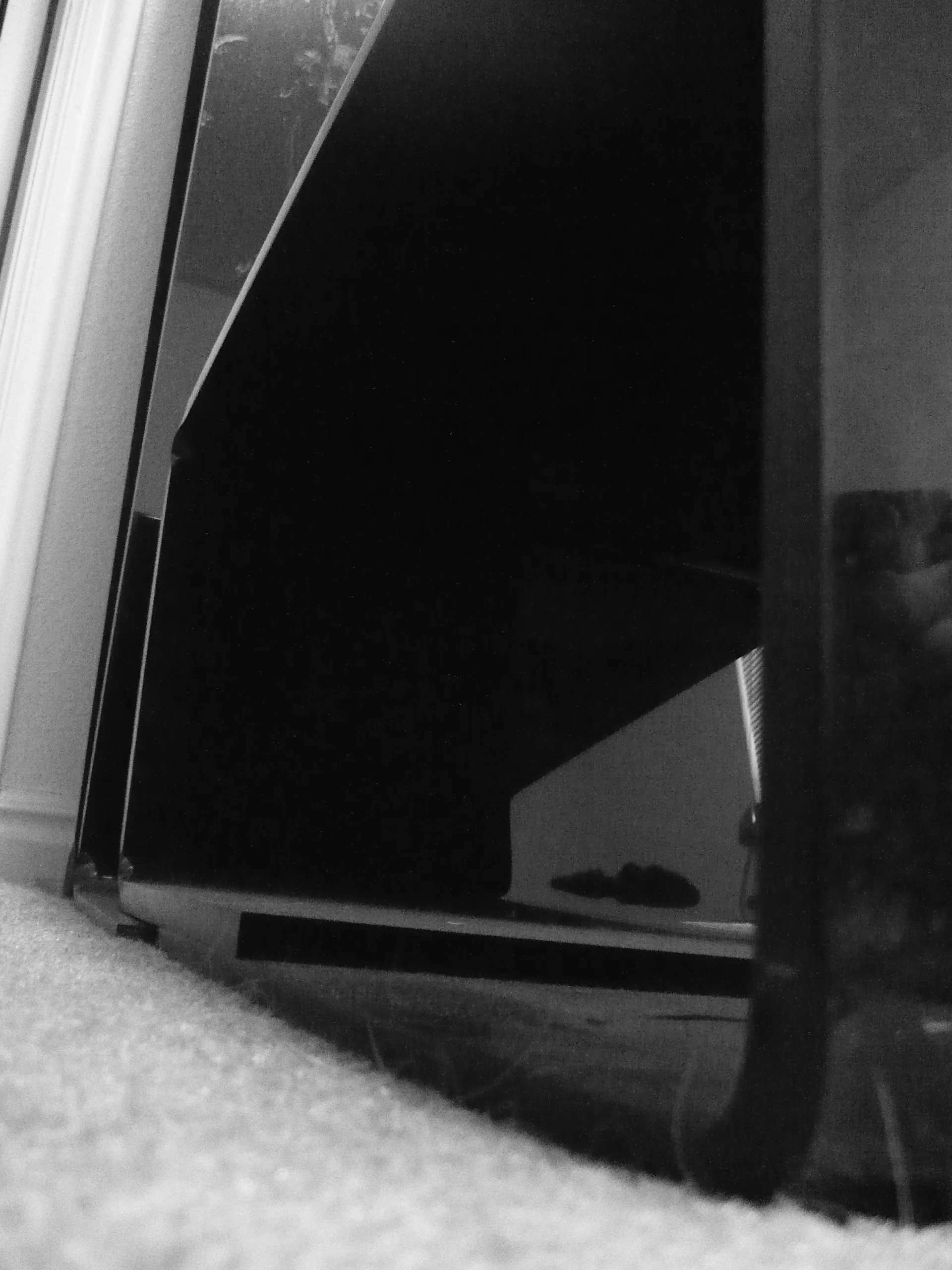 P1020492.JPG