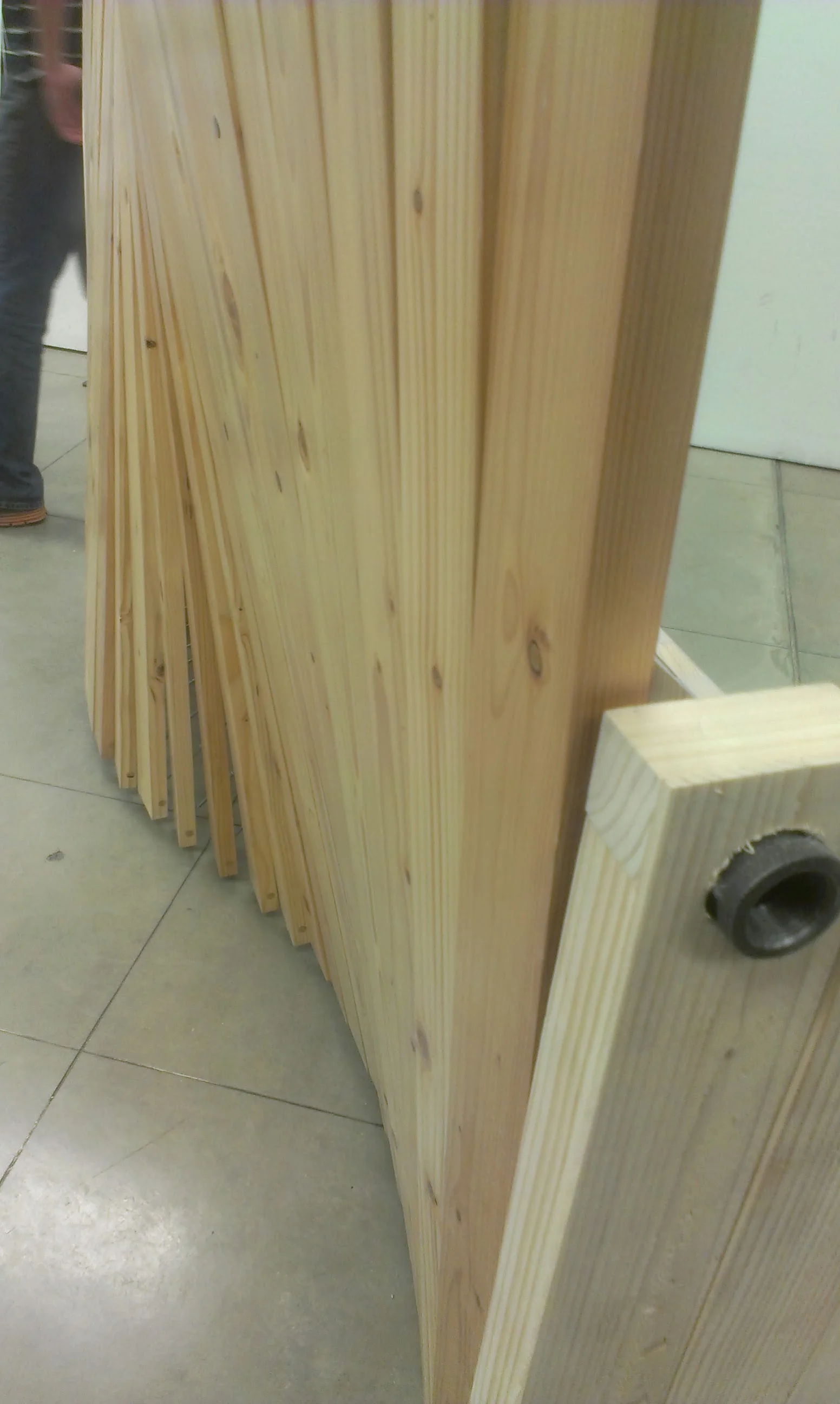 IMAG0244.jpg