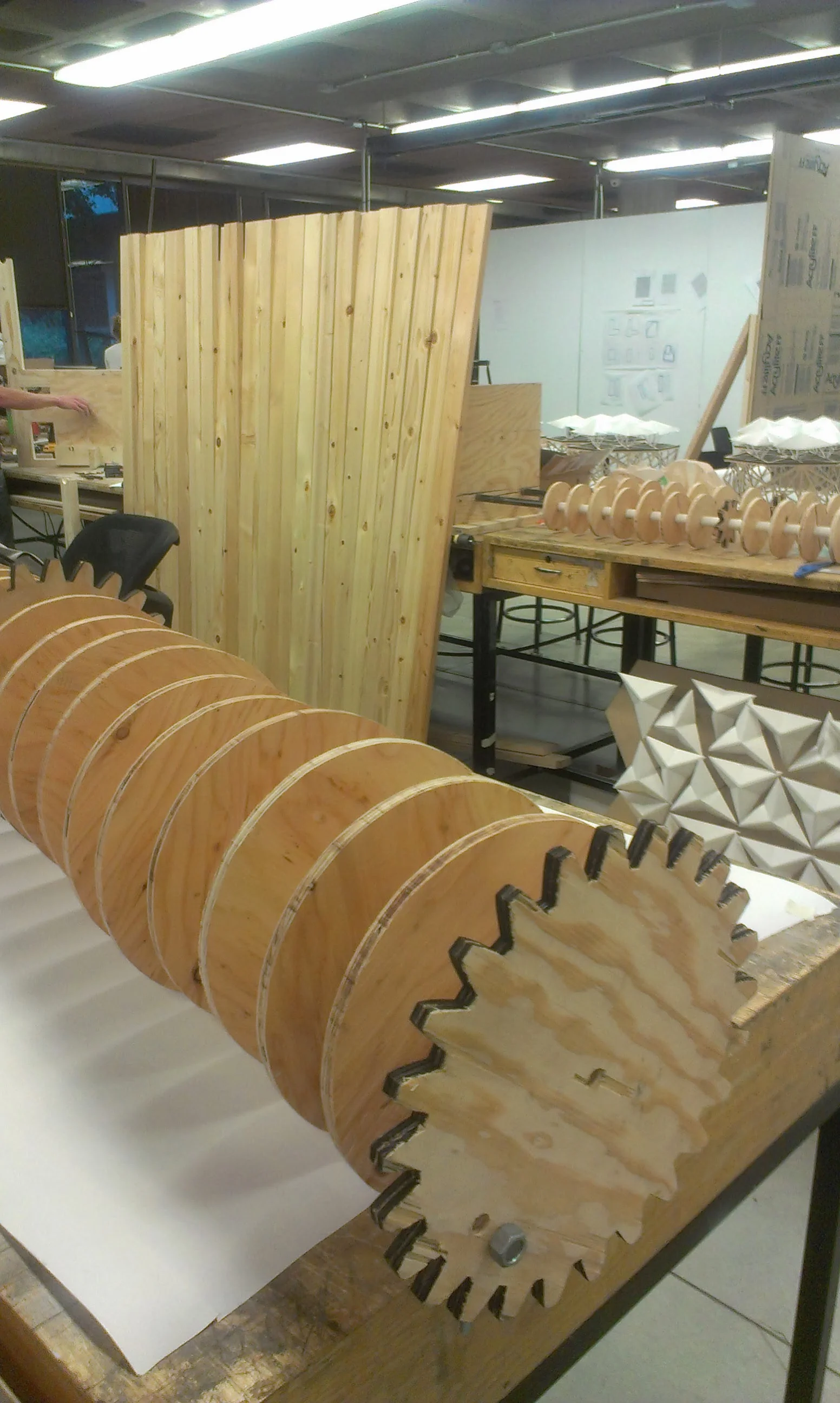 IMAG0206.jpg