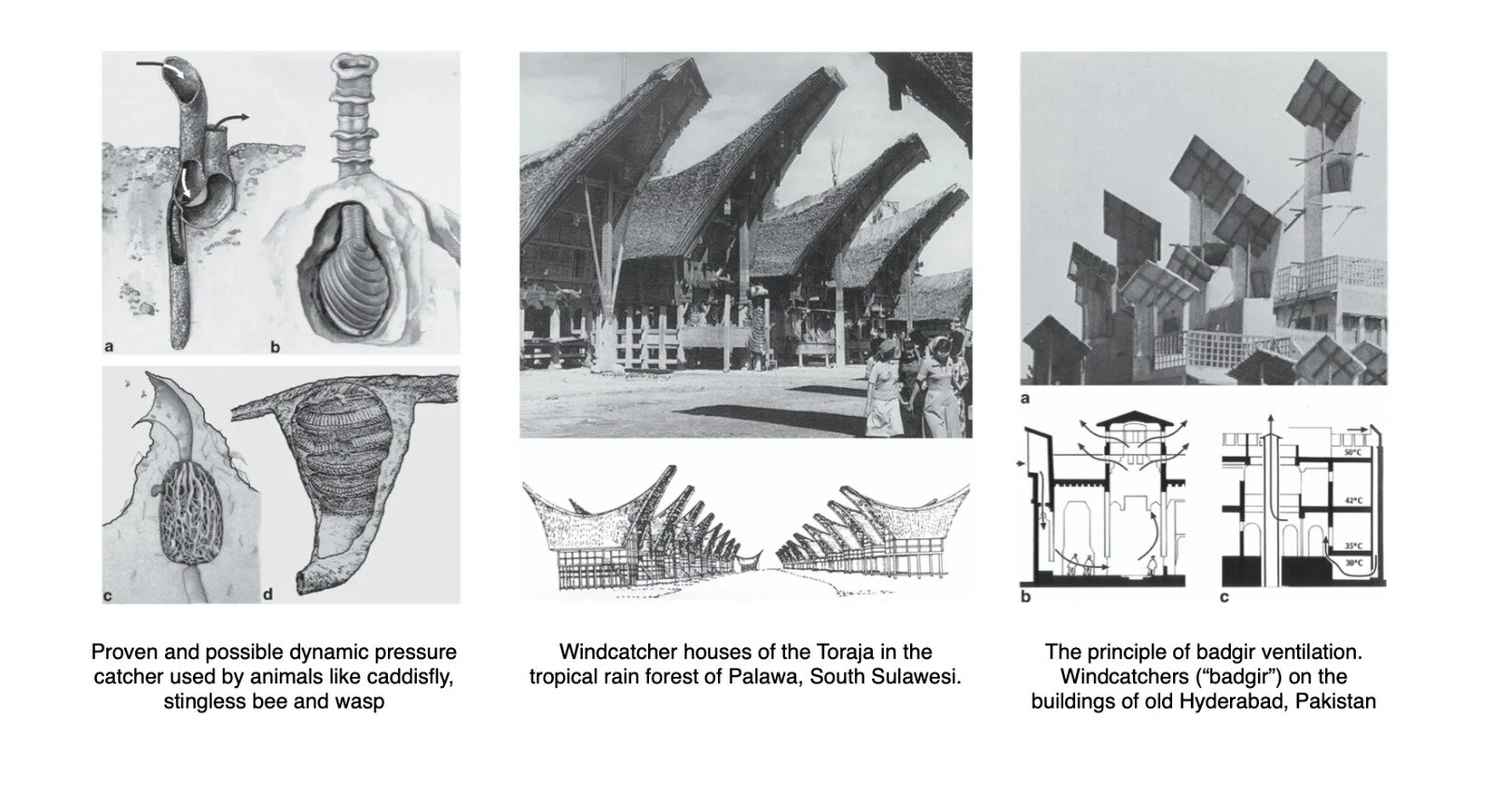 Biomimetics for architecture & design: nature-analogies-technology: A review by Jintao Ma
