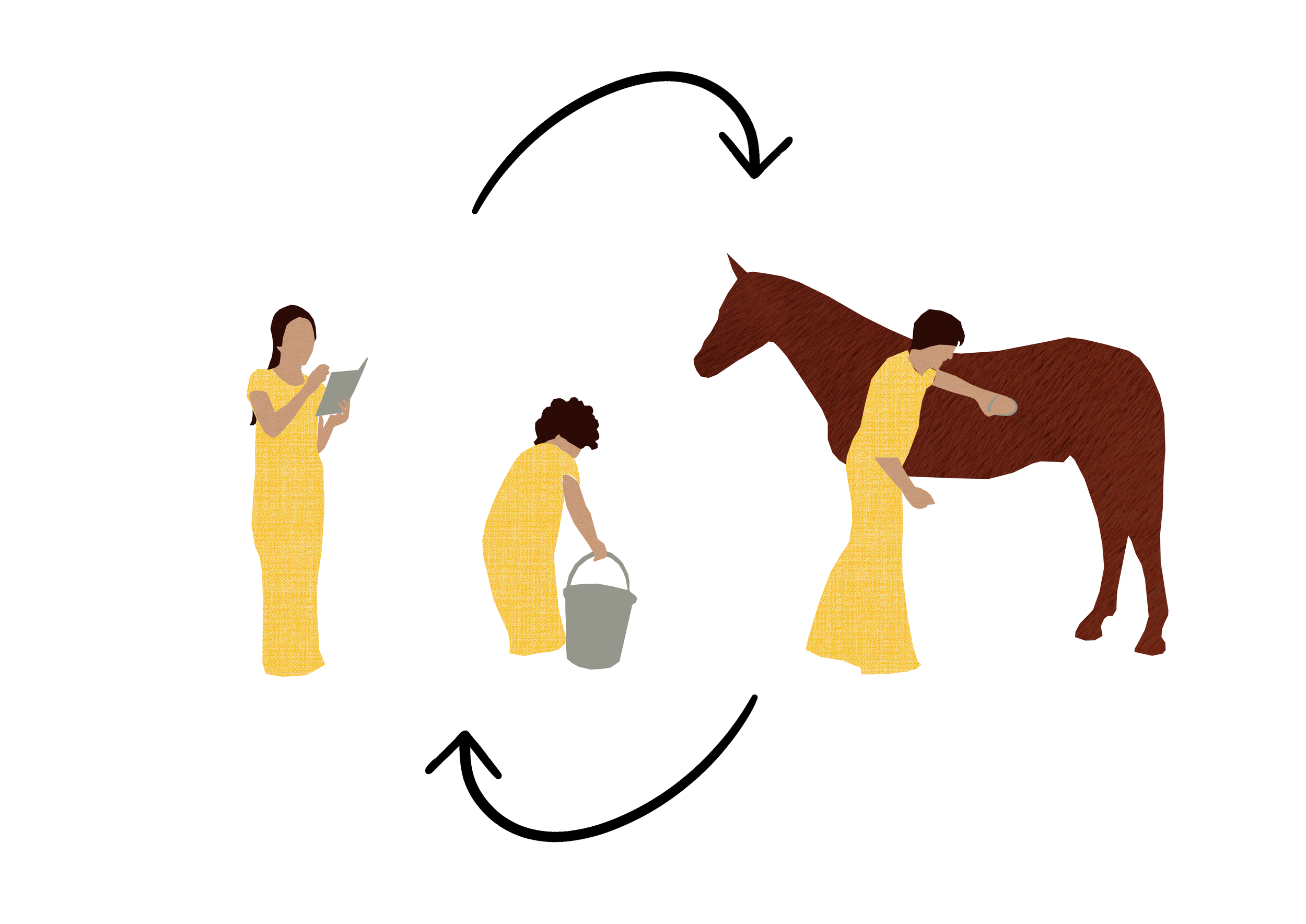 Horse education symbiosis.png