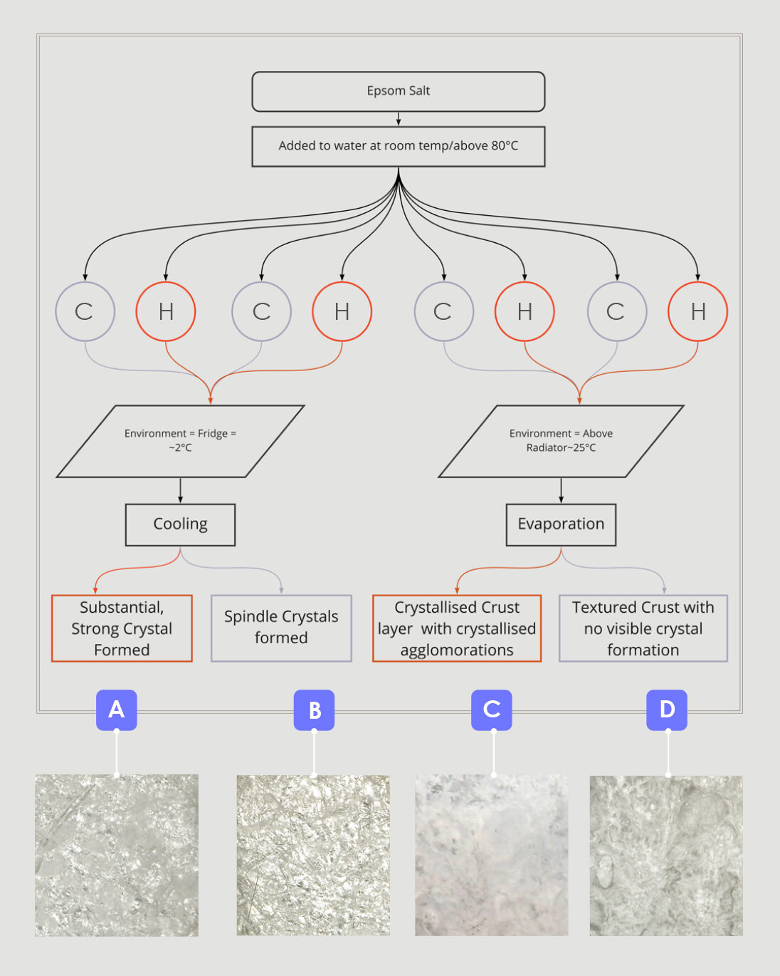 In the diagram above, C represents a salt dissolved in water at room temperature. H stands salt dissolved in water above 80 degrees Celsius.From this experiment, the conditions of each environment seemed to translate to an instruction within the for…