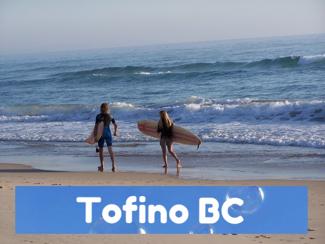 tofino in virtual reality.jpg