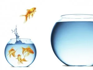fish-bowl-jump-300x225.jpg