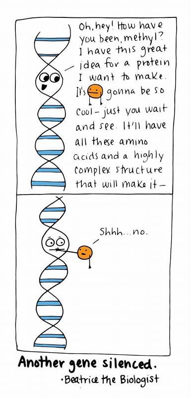 dna.jpeg