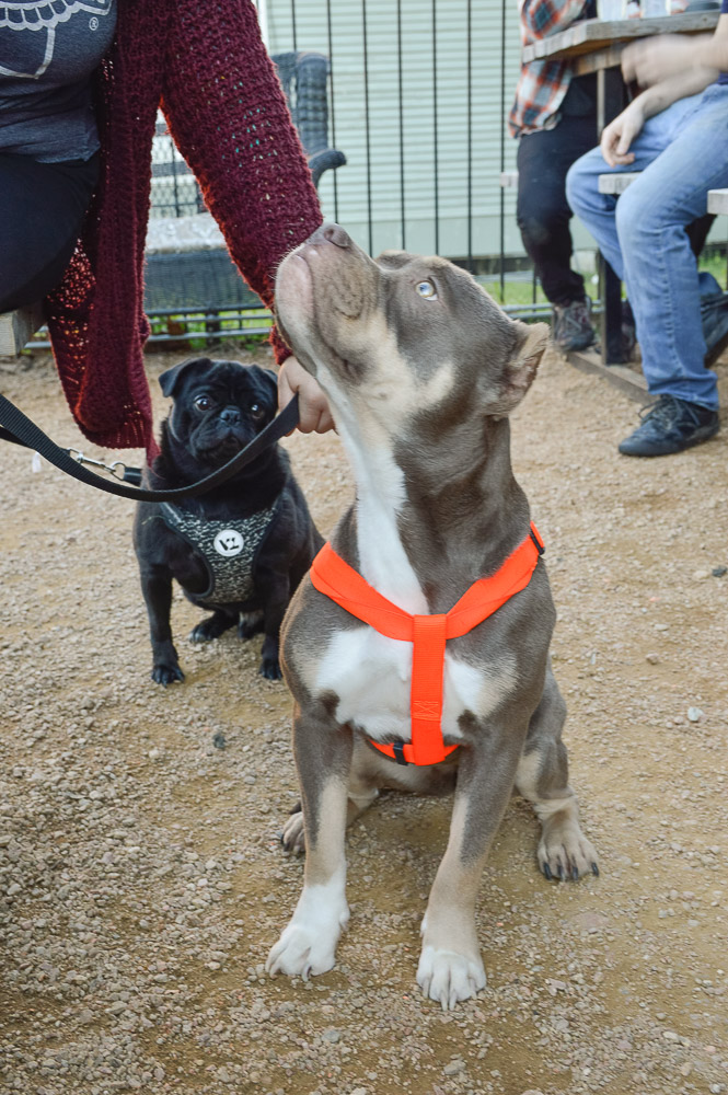  The cutest of contestants (with the unanounced winner on the left) 