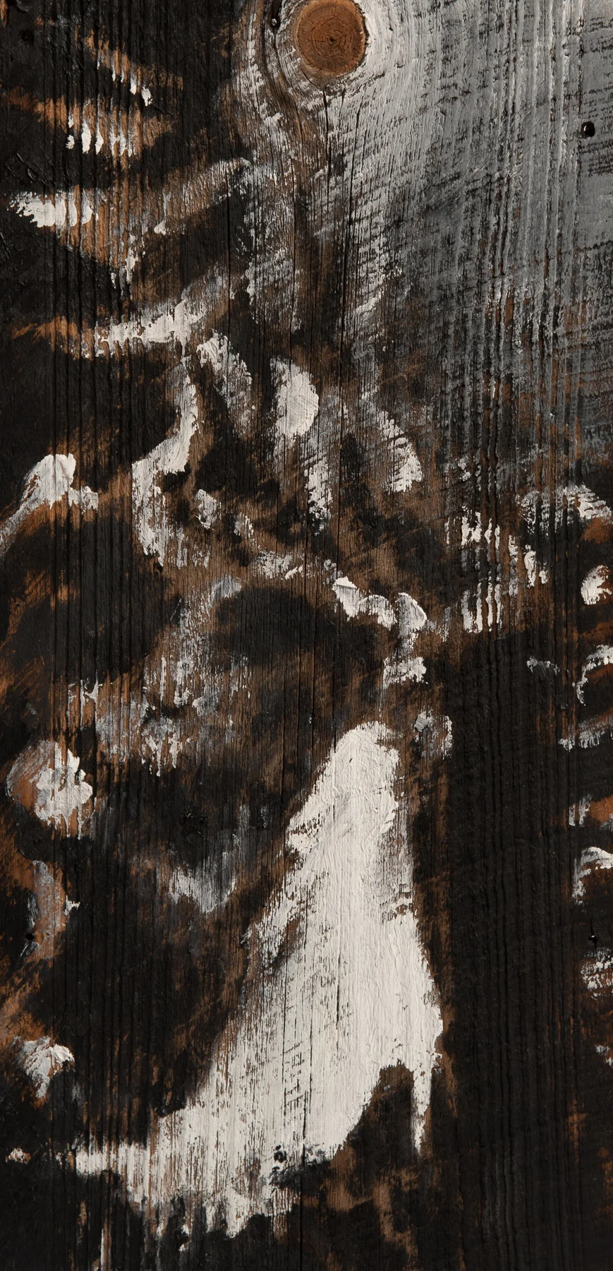 AYP_3372.jpg