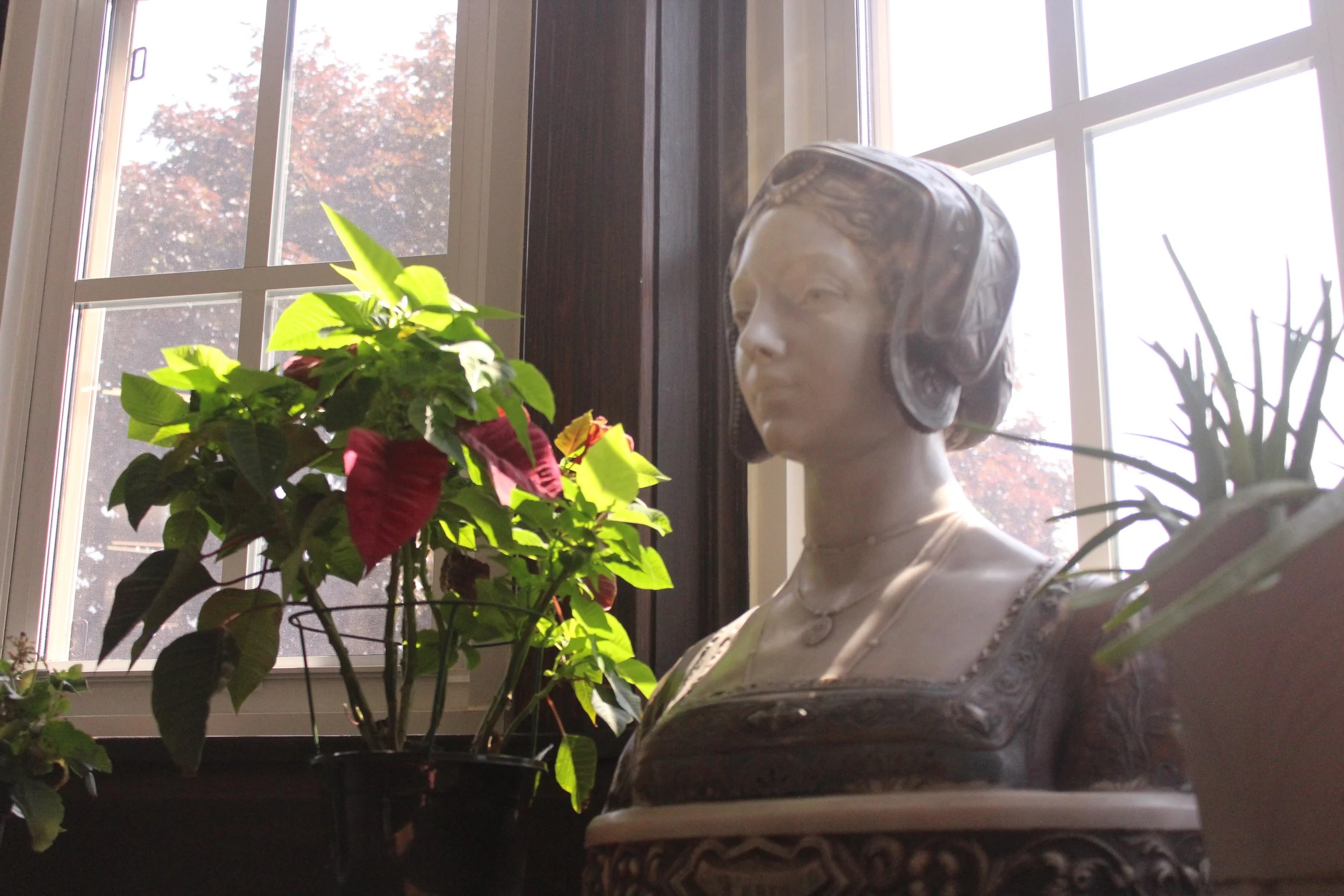 What is Catholic Schools Week at St. Bede?