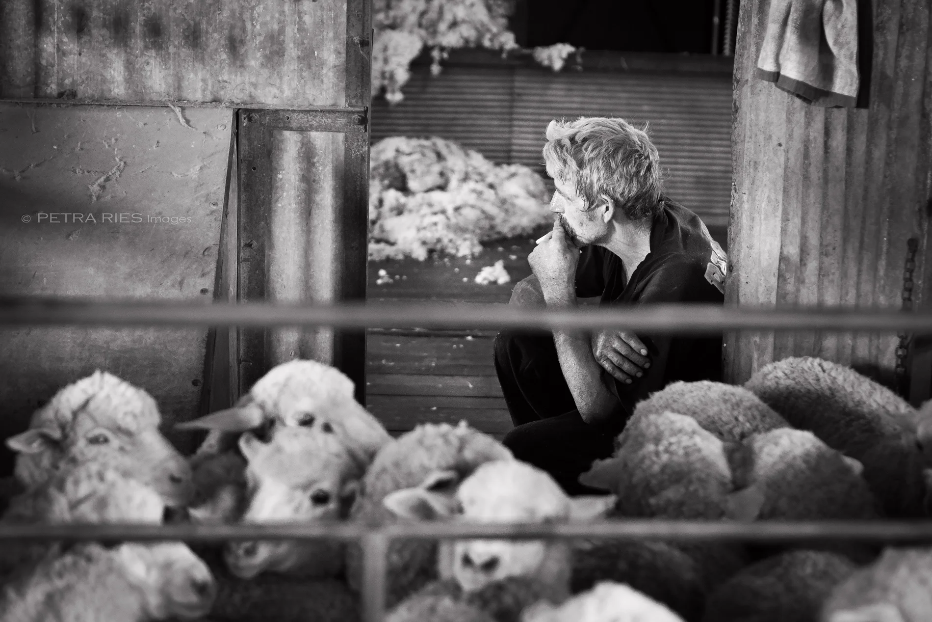 Woolshed-1-bw.jpg