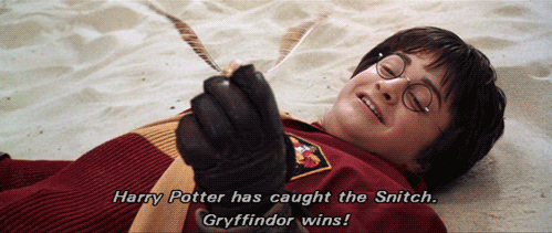 tumblr_og9xg1QH5d1vraes1o1_500.gif