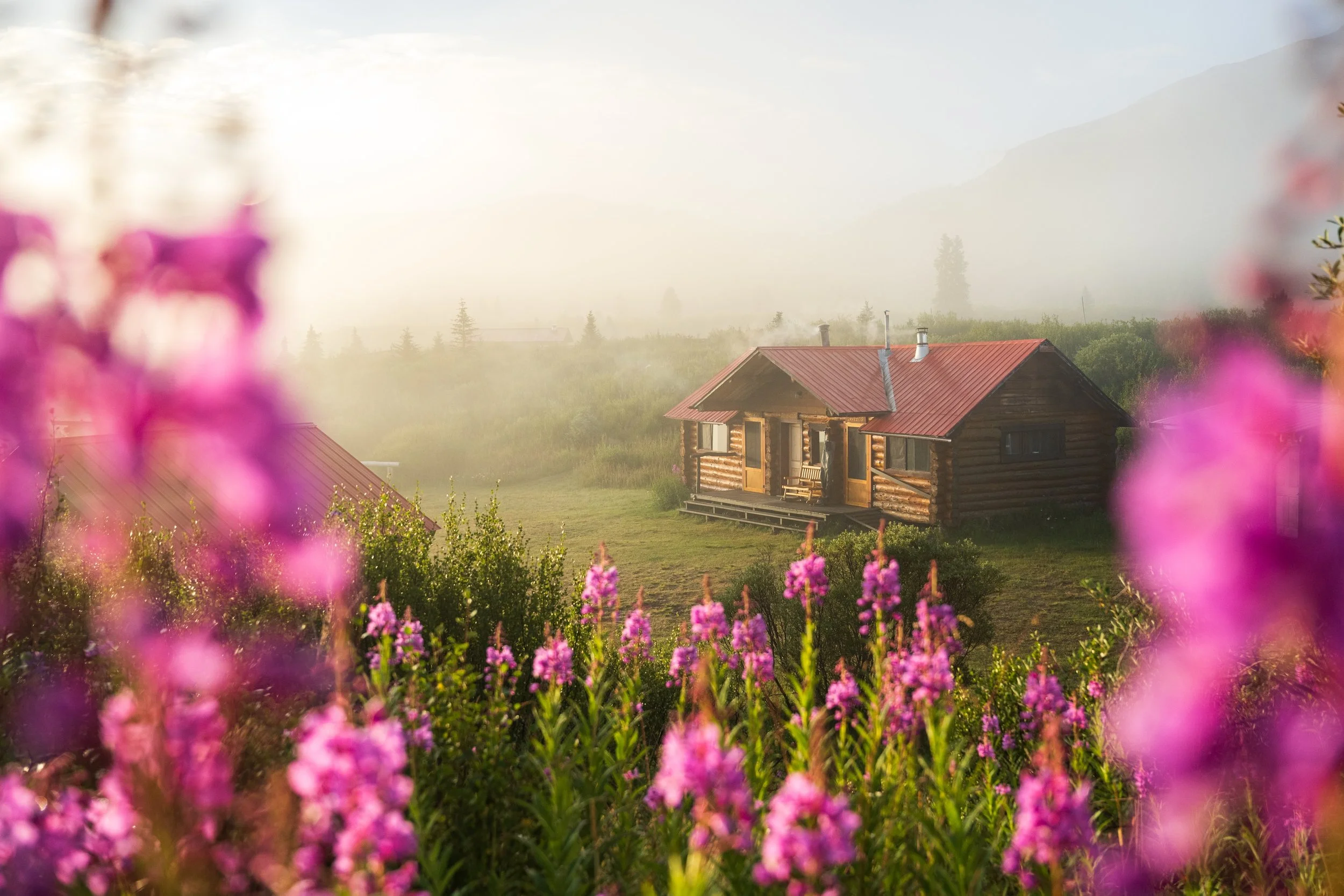 Early morning light on Spatsizi Lodge on the shores of Laslui Lake, framed in vibrant pink fireweed