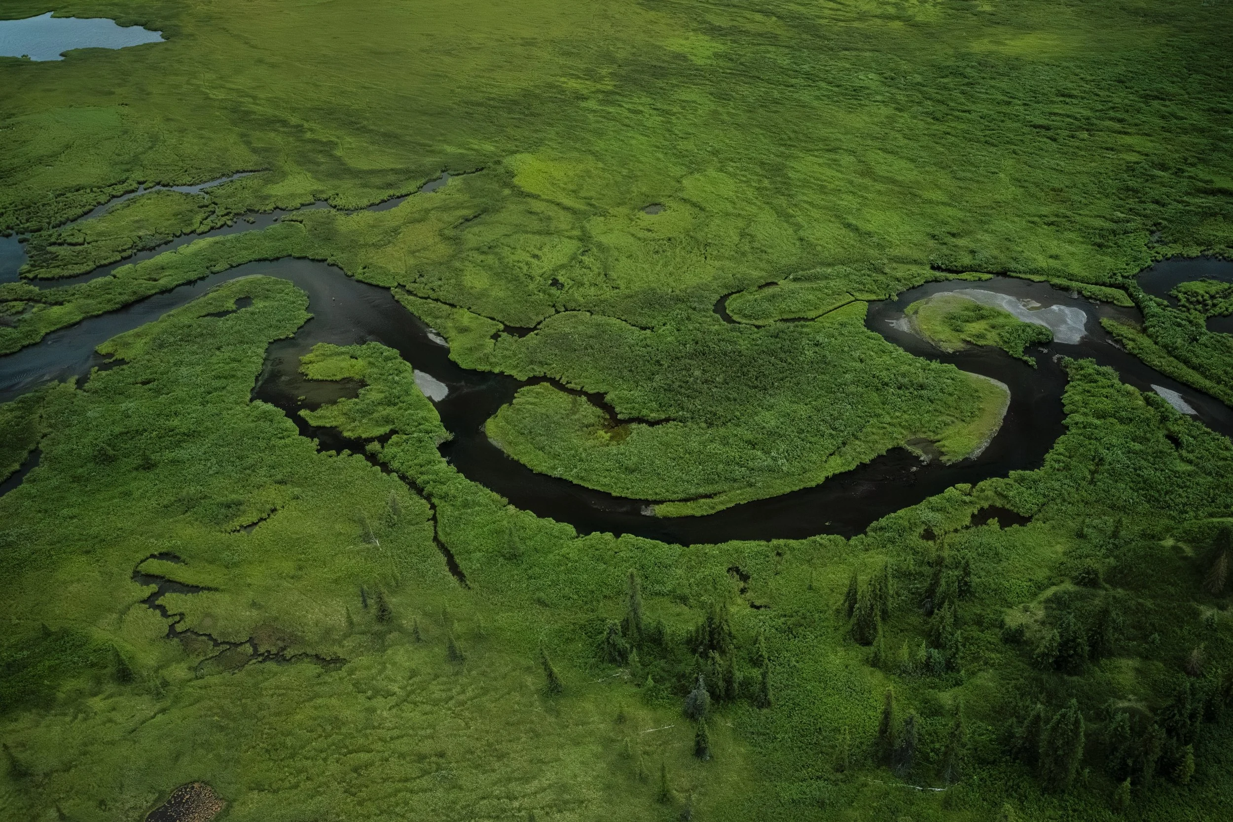 An aerial perspective of greenery and Trygve Creek, in Tatlatui Provincial Park