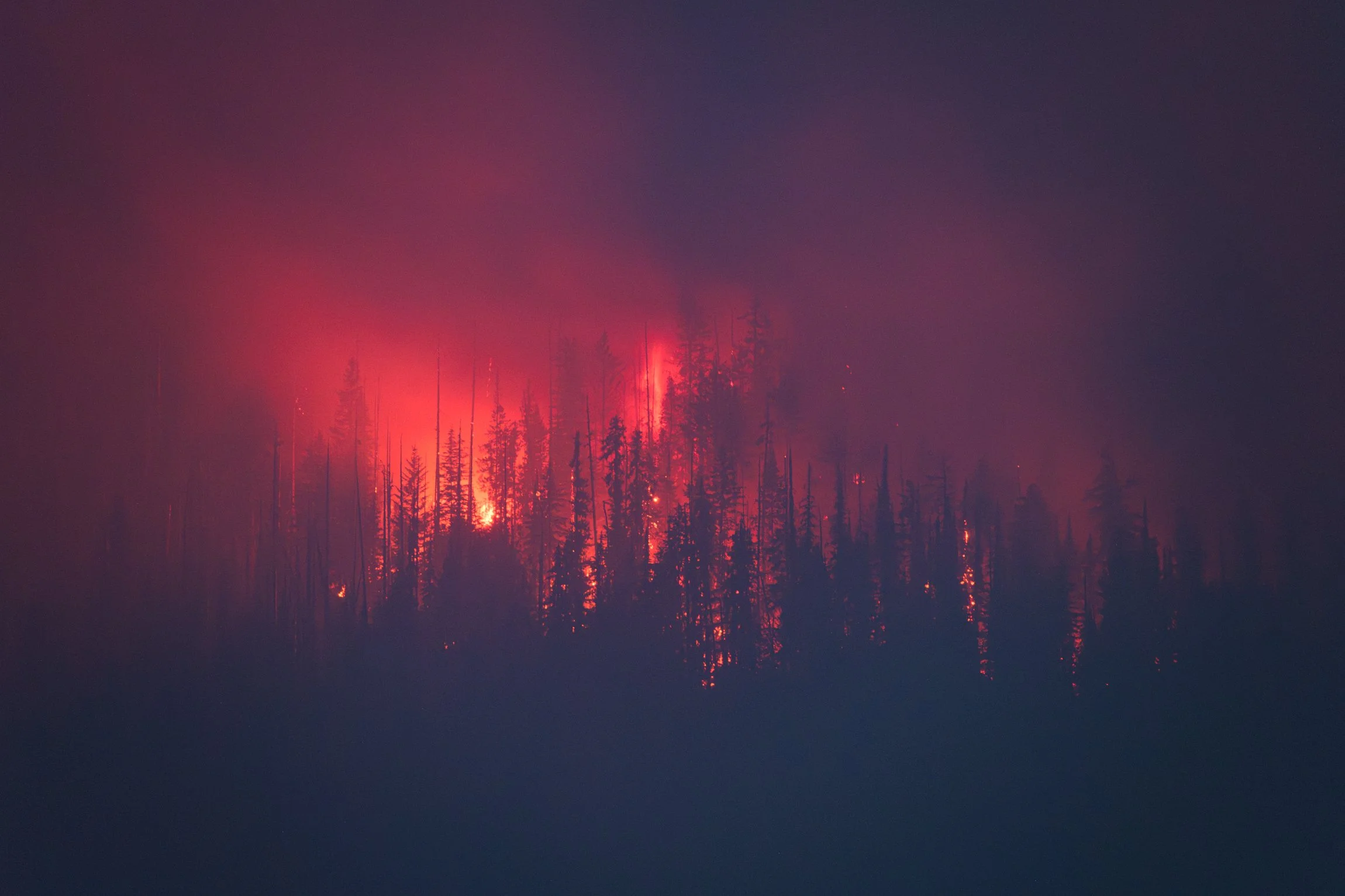 A large cloud of smoke billows into the summer sky, from the Syringa Creek Wildfire burning near Castlegar BC.