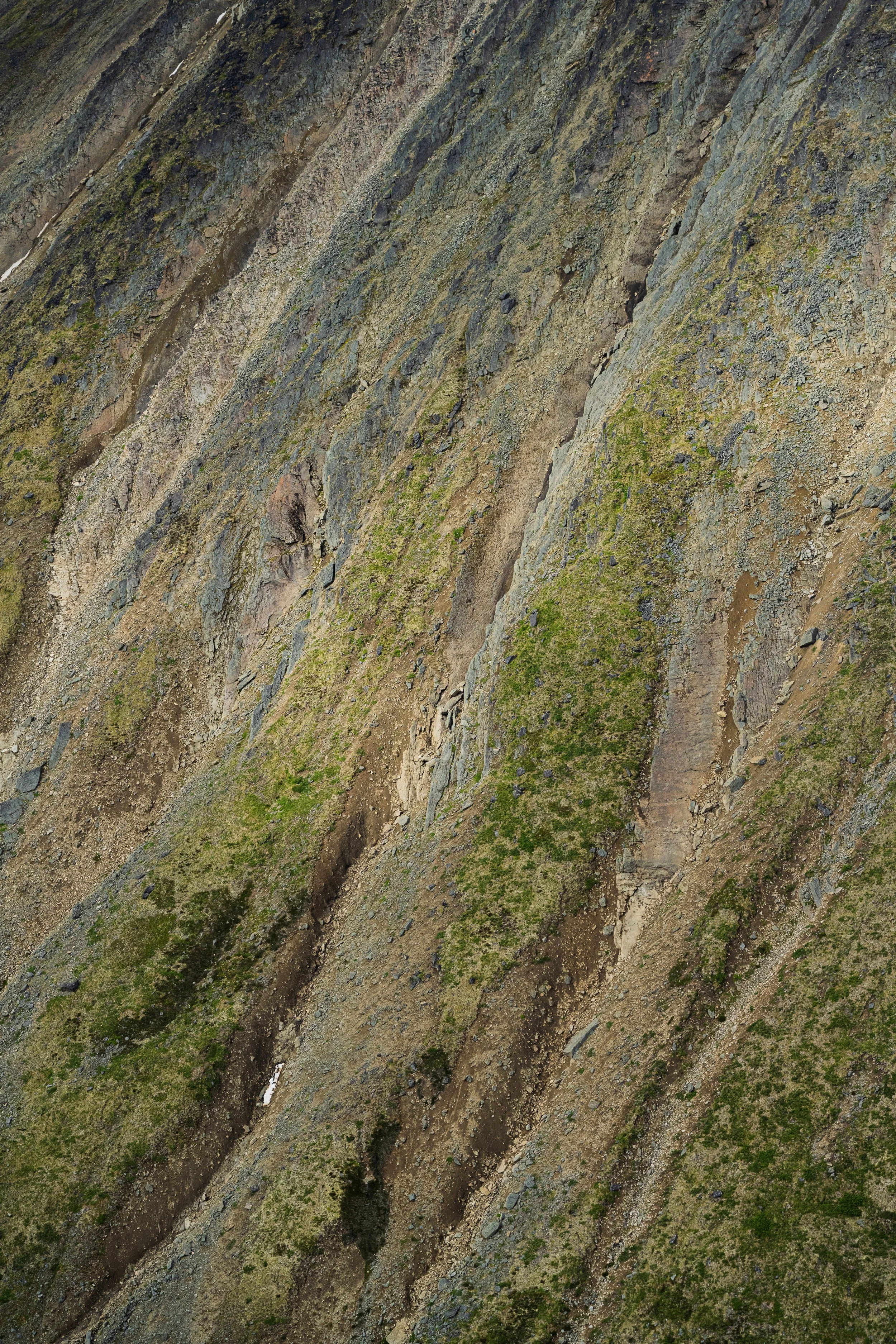 The textures of rock and grasses in the northern boreal landscape of Spatsizi Plateau Wilderness Provincial Park, in Northern BC
