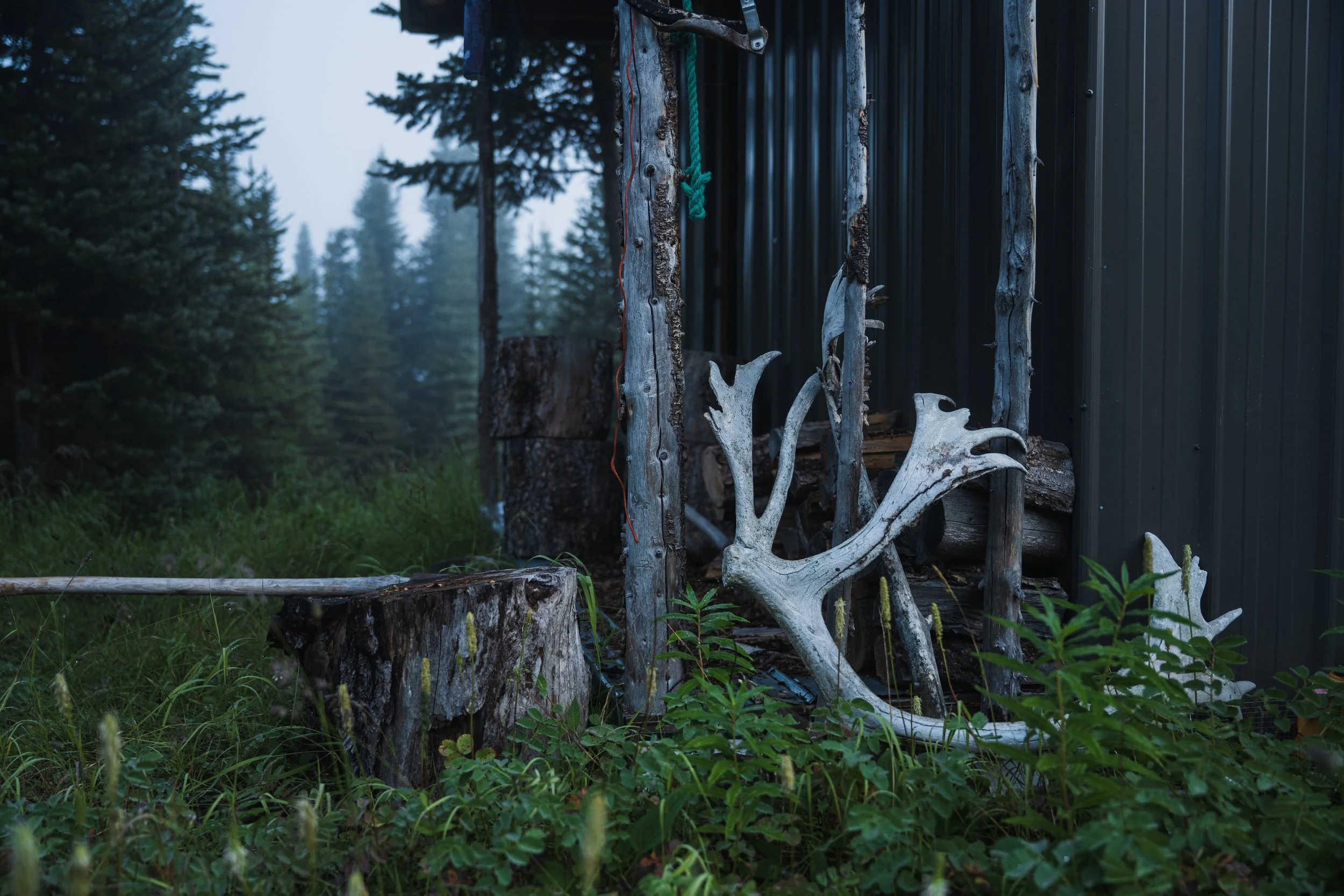 antler rack at a remote hunting cabin near Ella Lake, in the wilderness of the Spatsizi Plateau of Northern British Columbia