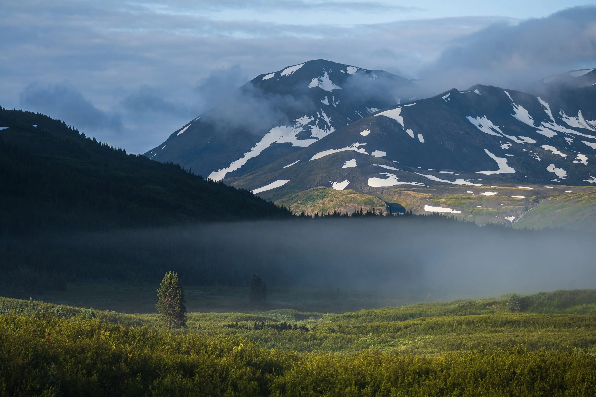Early morning fog burning off on the mountainside near Ella Lake, a remote lake within Spatsizi Plateau Wilderness Provincial Park in Northwest British Columbia, Canada