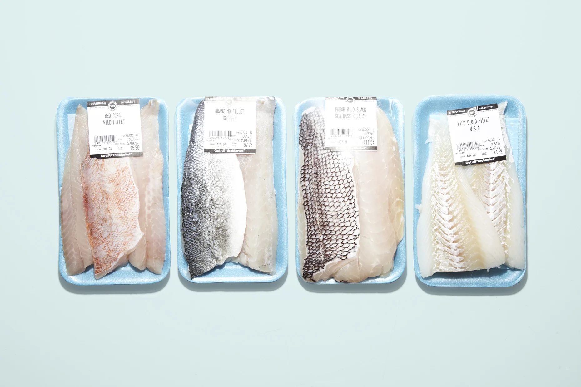 ConceptKitchen 141_fish_Novak.jpg
