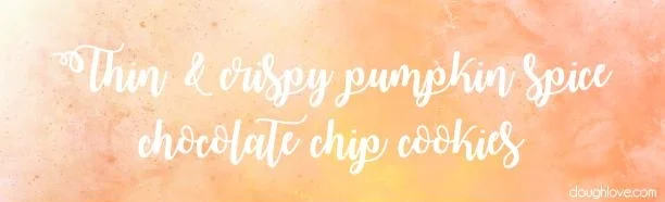 Ingredients: 10 oz unsalted butter, just barely melted 200 grams sugar (1 cup) 135 grams brown sugar (2/3 cup) 1 large egg, at room temp 75 grams pumpkin puree, at room temp (1/3 cup) 1 teaspoon vanilla 256 grams all-purpose flour (2 cups) 1 ½ teaspoon cinnamon 1 ¼ teaspoon pumpkin pie spice 1 ½ teaspoon kosher salt 1 teaspoon baking soda 1 ¼ cup to 2 cups of semi-sweet chocolate chips Directions: Combine the butter and sugars on a low speed in an electric mixer or mix by hand. Mix until well combined but keep a low speed to prevent aerating/creaming the mixture. Add in the egg, vanilla and pumpkin puree. Mix to combine, scraping down the bowl as needed. Stir until the wet ingredients are fully incorporated. In a medium bowl combine the dry ingredients: flour, cinnamon, pumpkin pie spice, salt, baking soda and chocolate chips. Stir just to distribute the dry ingredients. Add the dry mixture into the wet ingredients and mix until well combined, again scraping the sides of the bowl as needed. At this point you can bake your cookies or, as I prefer, chill and rest your cookie dough, well covered, for a minimum of 2 hours to overnight. When ready to bake remove dough from the fridge, scoop tablespoon sized balls spaced 2-3 inches apart on a lined (parchment or silicone mat), ungreased baking sheet. At this point pre-heat your oven to 330 degrees for 15-16 mins. Allow cookies to cool for a minute or 2 on the baking sheet then cool completely on a rack. Once completely cool, store in an airtight container to maintain the crispness. Tips: Milk chocolate chips also go very well with these cookies but I’d avoid going darker than semi-sweet as it will overpower the subtle pumpkin flavor. Start with 1 ¼ cup chocolate chips and add more as you prefer up to 2 cups. I used a #50 scoop and they’ll spread quite a bit – lean toward the 3 inch spacing For a crisp edged, but chewy middled cookie, bake at 350 for 8-10 minutes.