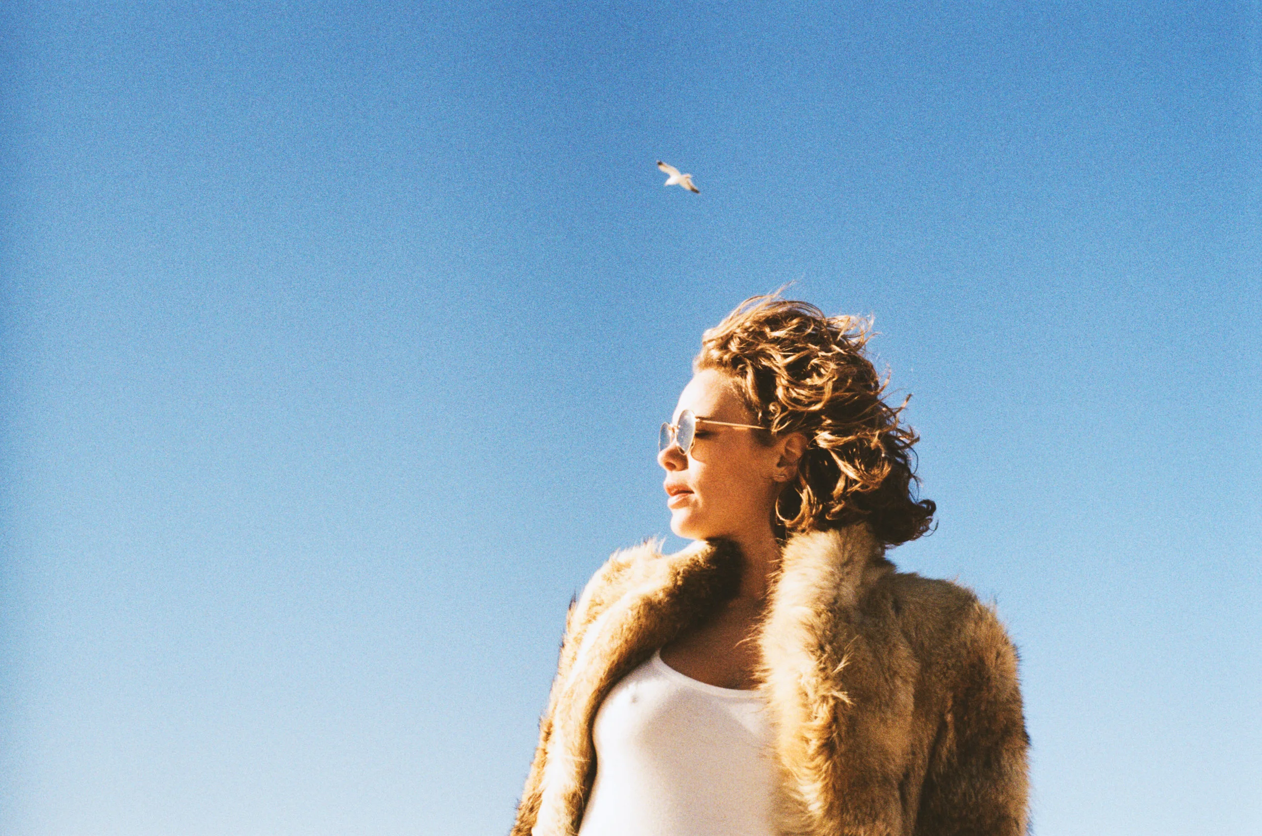 000021140029 copy copy.jpg