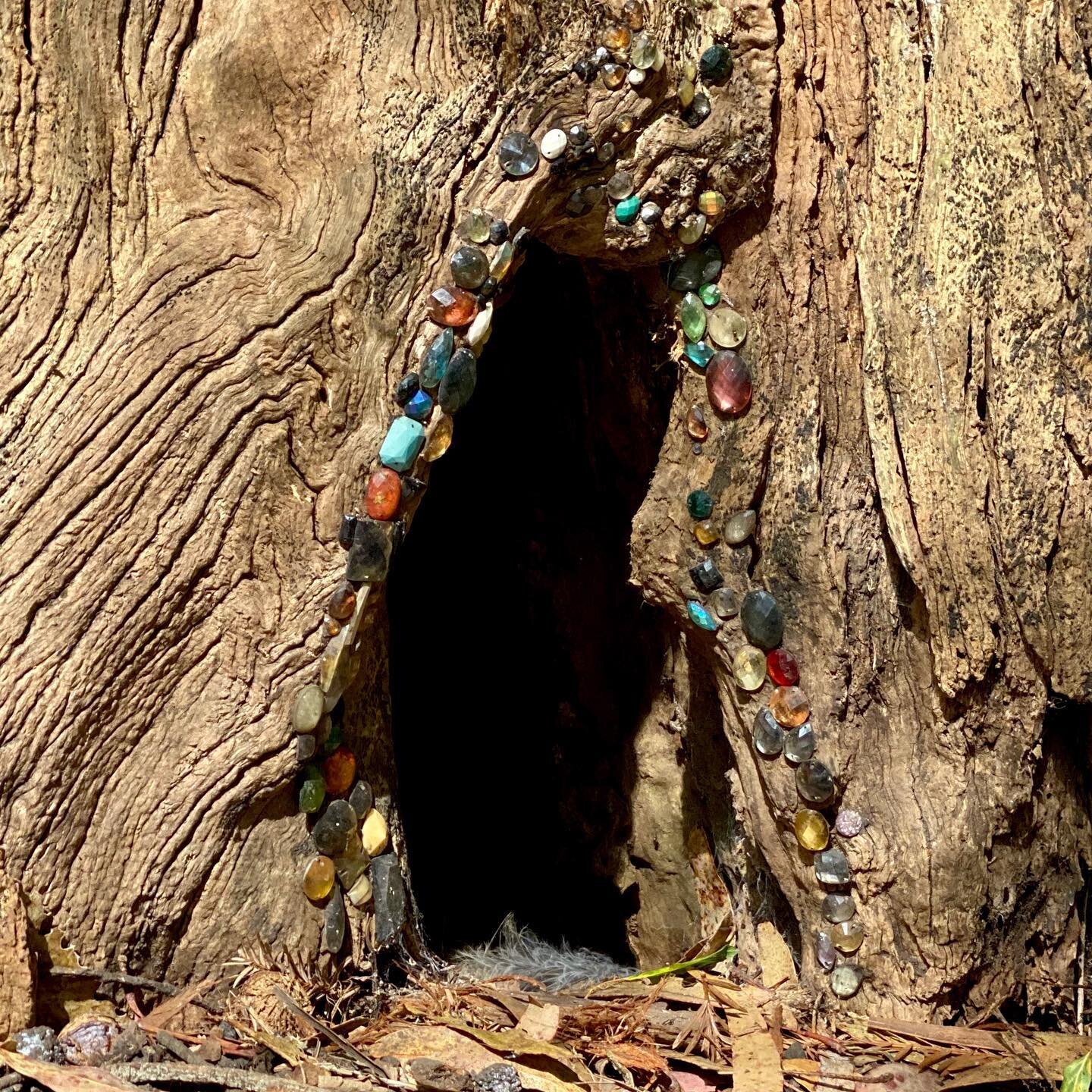 Welcome! Home?
_____
#sanfrancisco #fairyhouse #fairy #treehollow #bejeweled #foundart