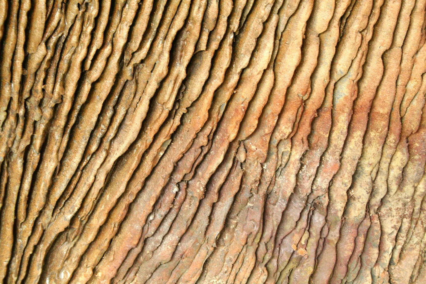 HKane_Ceramics_Detail_Texture2.jpg