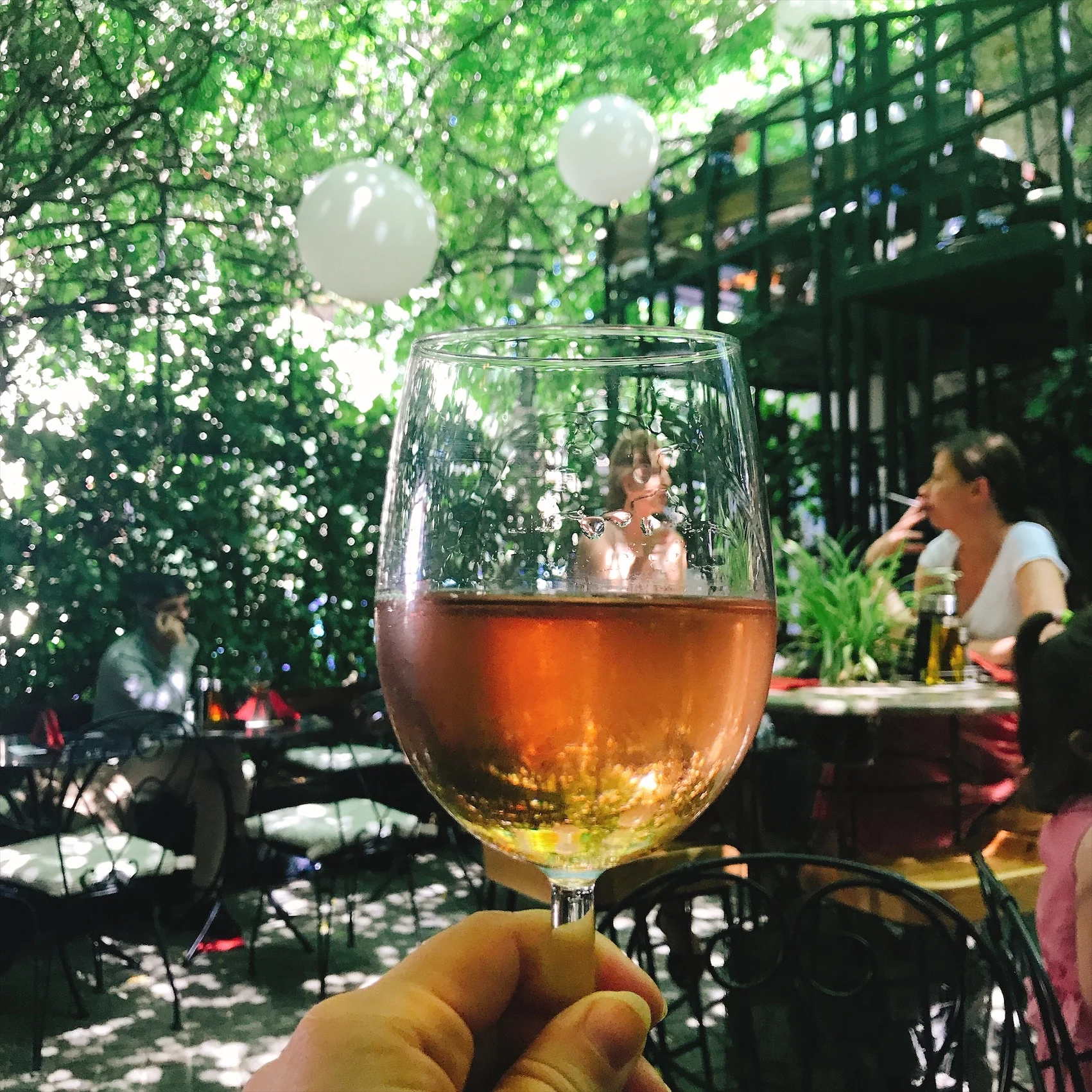 Wine Safari in Bucharest, Romania