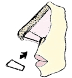 SMALL_FACE.jpg