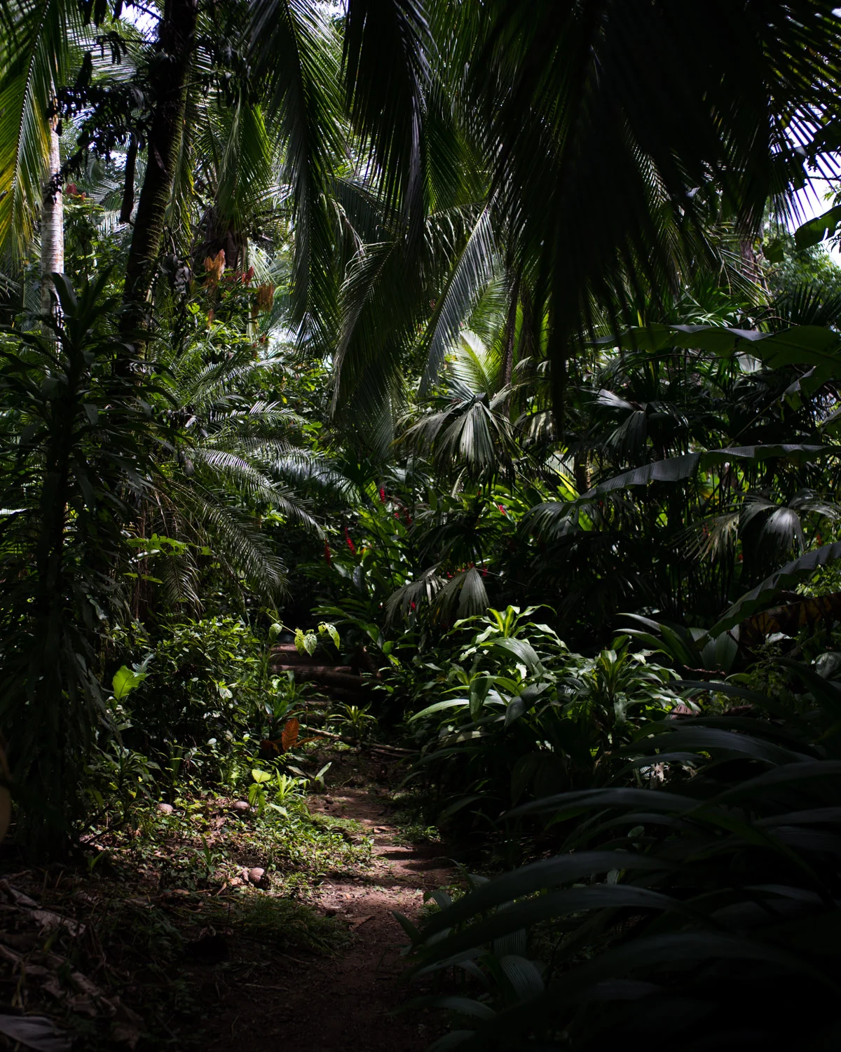 costa-8891.jpg